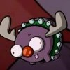 Moose