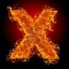 Xolid