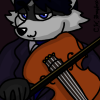 AKARaccoon