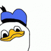 Maiju