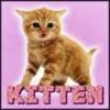 â™¥Kittenâ™¥